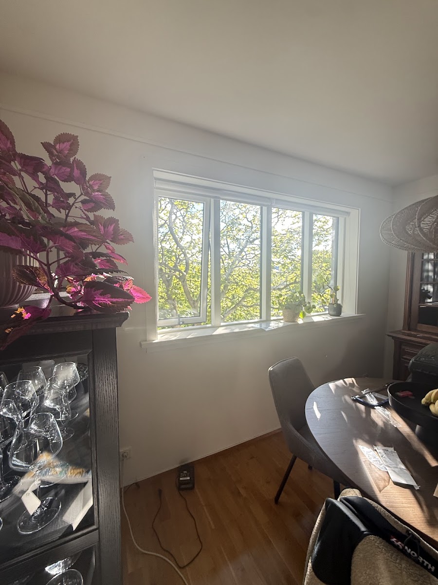 Guesthouse room